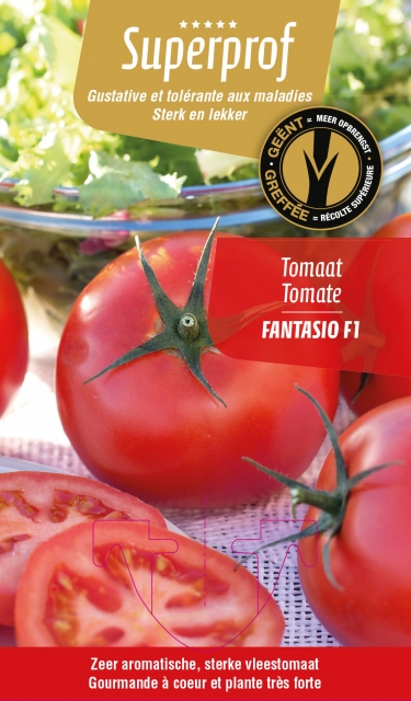 tomaat geënt Fantasio (tray 8 pot)