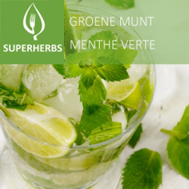 Menthe verte (tray 6 pot 14)