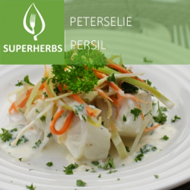 Peterselie (tray 6 pot 14)