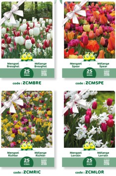 BOÎTE AVEC 20 EMBALLAGE EN 4 SORTES ARTICLE CADEAU MELANGES