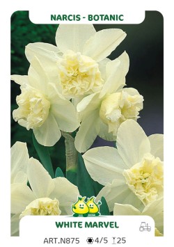 Narcis White Marvel