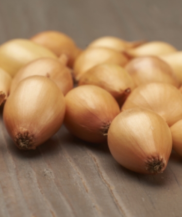 250 gr (x4) Winterajuin  (1 = 4 * 250g)