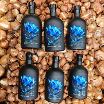 BOÎTE AVEC 6 BOUTEILLES TULIPA GIN 500 ml