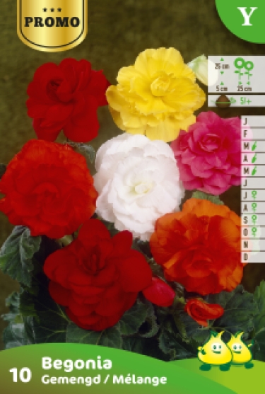 Zakjes Begonia Mix 10 bollen