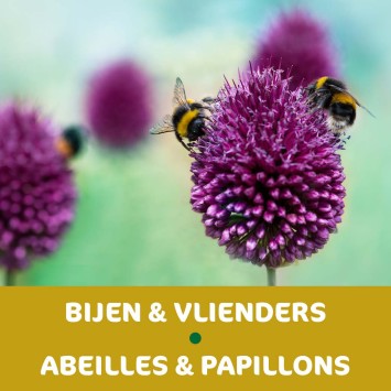 REASSORT 15*5 sachets instagram Abeilles et Papillons