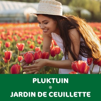 REASSORT 20*5 sachets instagram Jardin de Cueillette
