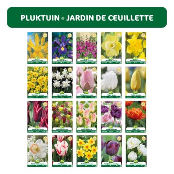 REASSORT 20*5 sachets instagram Jardin de Cueillette