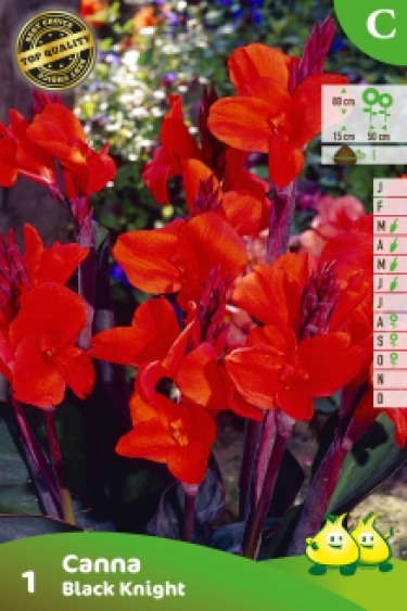 ZAKJES CANNA BLACK KNIGHT C