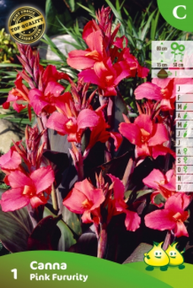 ZAKJES CANNA PINK FURURITY  C