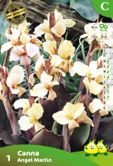 ZAKJES CANNA ANGEL MARTIN  C