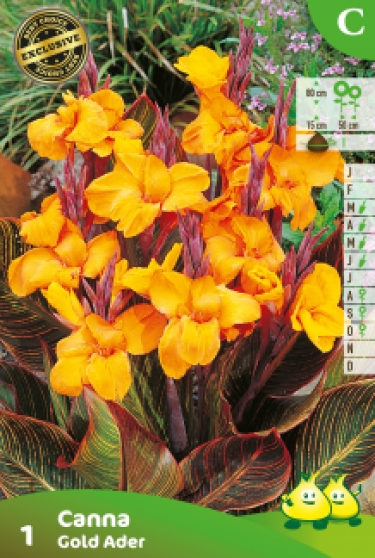 ZAKJES CANNA GOLD ADER C