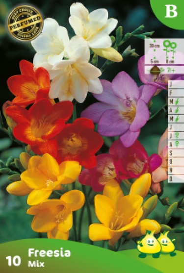 ZAKJES FREESIA GEMENGD B