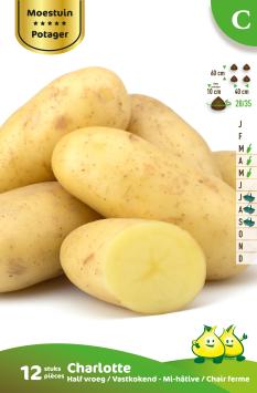 12 aardappelen Charlotte
