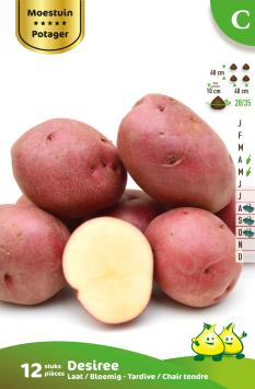 12 aardappelen Desiree